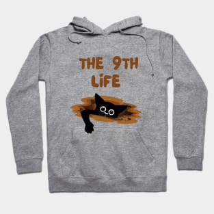 Cat Has Nine Lives For Sure Hoodie